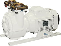 Gianneschi ACB 531 self priming multi stage en-bloc el/pumps with liquid ring