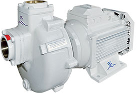 Gianneschi BMA self priming el/pumps with double volute